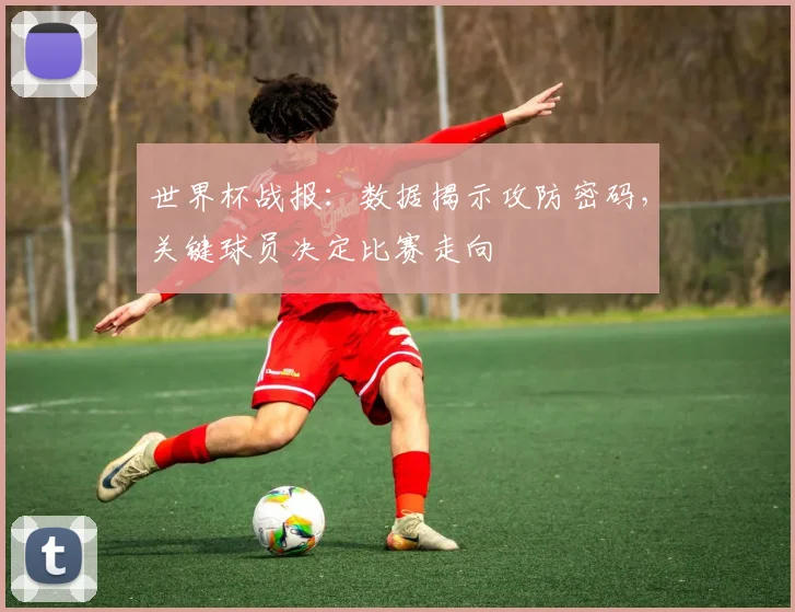 世界杯战报：数据揭示攻防密码，关键球员决定比赛走向