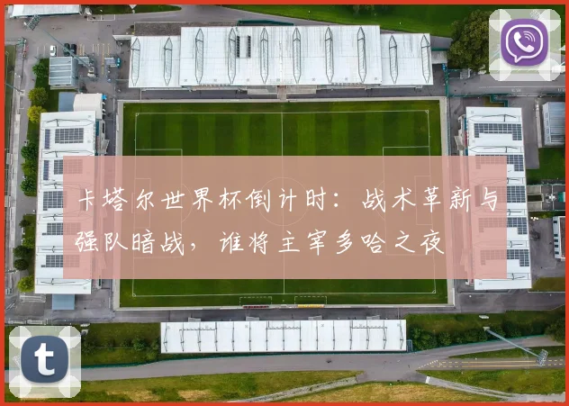 卡塔尔世界杯倒计时：战术革新与强队暗战，谁将主宰多哈之夜