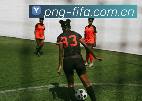 2026世界杯 多终端观赛